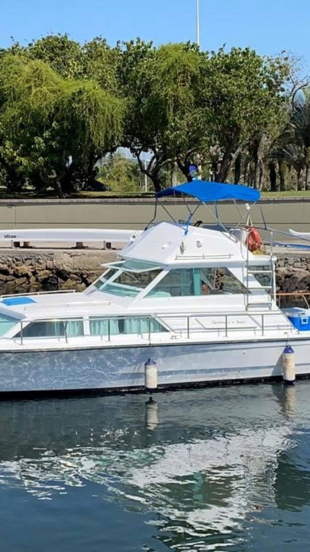 WhatsApp-Image-2020-12-03-at-13.10.34-1-1