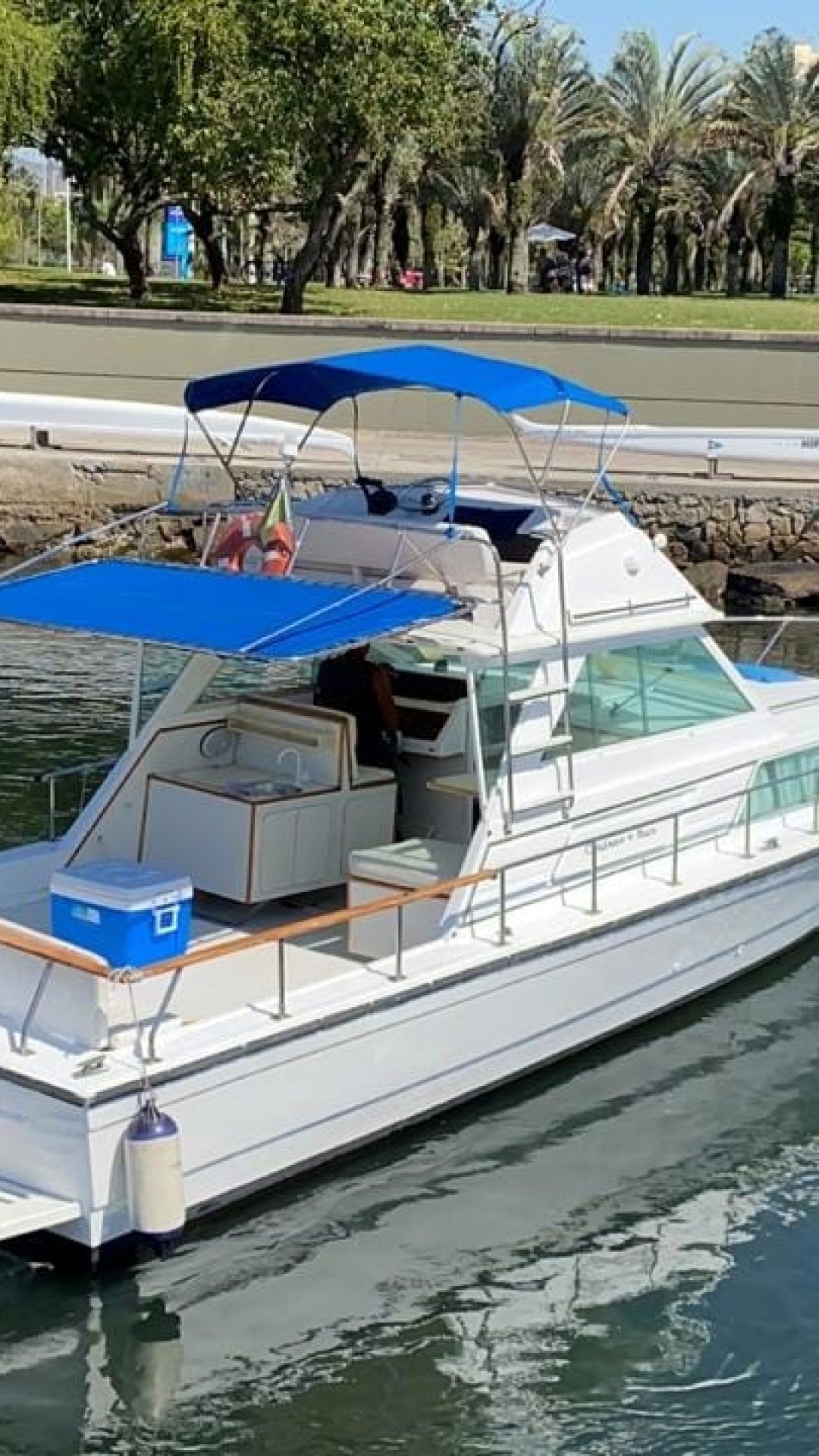 WhatsApp-Image-2020-12-03-at-13.10.34